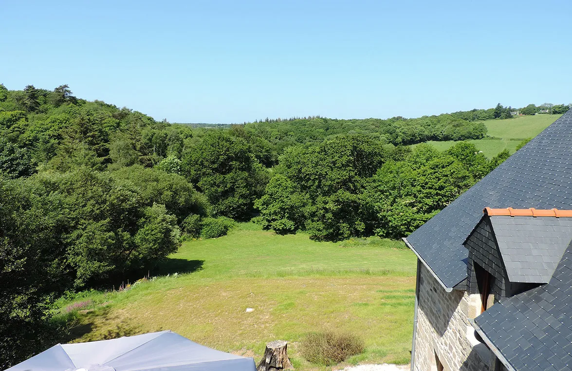 Le vallon verdoyant qui entoure le gîte